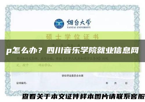 p怎么辦？四川音樂學院就業信息網縮略圖