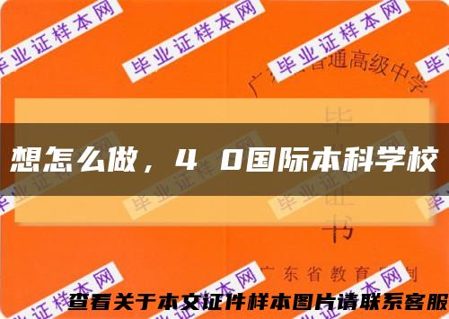 想怎么做，4 0國際本科學?？s略圖