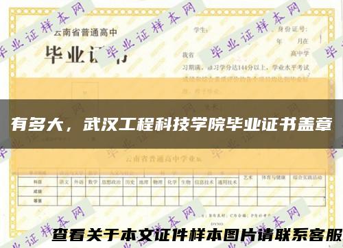 有多大，武漢工程科技學院畢業證書蓋章縮略圖
