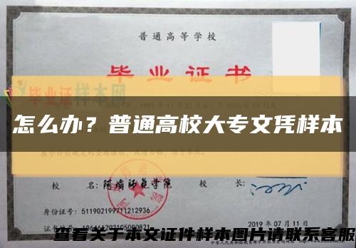 怎么辦？普通高校大專文憑樣本縮略圖