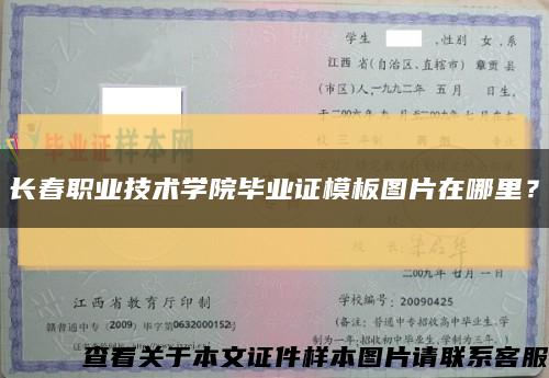 長春職業技術學院畢業證模板圖片在哪里？縮略圖