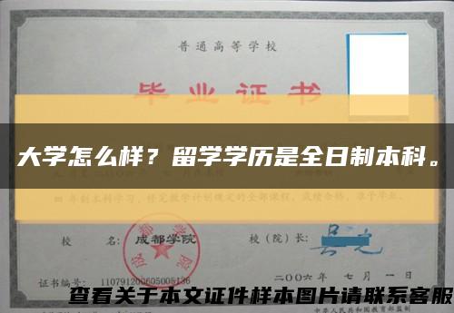 大學怎么樣？留學學歷是全日制本科?？s略圖