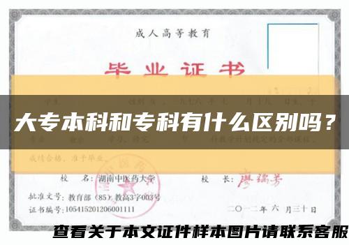 大專本科和?？朴惺裁磪^別嗎？縮略圖