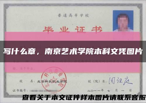 寫什么章，南京藝術學院本科文憑圖片縮略圖