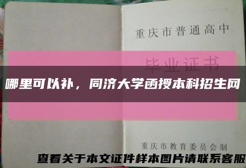 哪里可以補，同濟大學函授本科招生網縮略圖