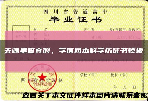 去哪里查真假，學信網本科學歷證書模板縮略圖