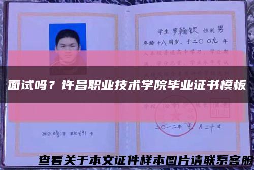 面試嗎？許昌職業技術學院畢業證書模板縮略圖