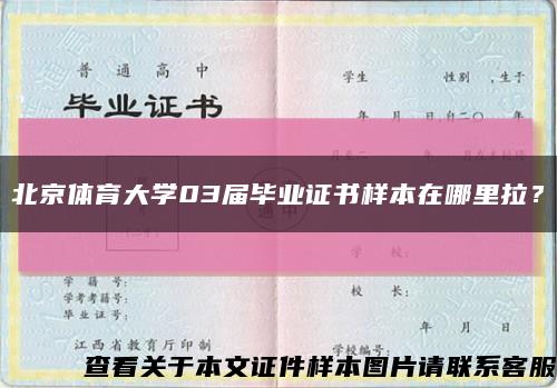 北京體育大學03屆畢業證書樣本在哪里拉？縮略圖
