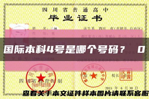 國際本科4號是哪個號碼？ 0縮略圖