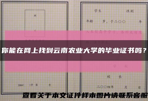 你能在網上找到云南農業大學的畢業證書嗎？縮略圖