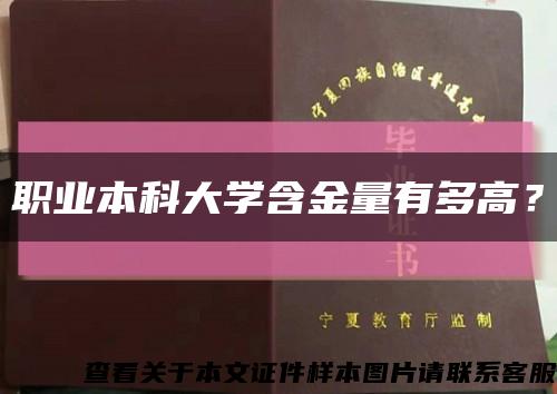 職業本科大學含金量有多高？縮略圖