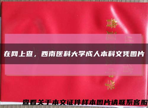 在網上查，西南醫科大學成人本科文憑圖片縮略圖
