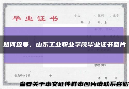 如何查號，山東工業職業學院畢業證書圖片縮略圖