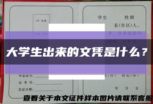 大學生出來的文憑是什么？縮略圖