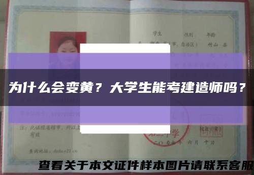 為什么會變黃？大學生能考建造師嗎？縮略圖