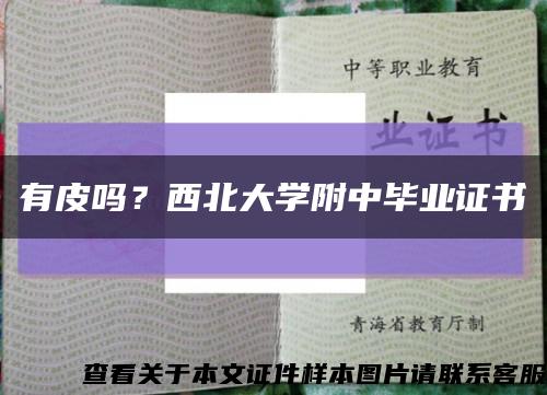 有皮嗎？西北大學附中畢業證書縮略圖