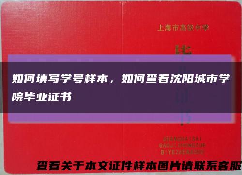 如何填寫學號樣本，如何查看沈陽城市學院畢業證書縮略圖