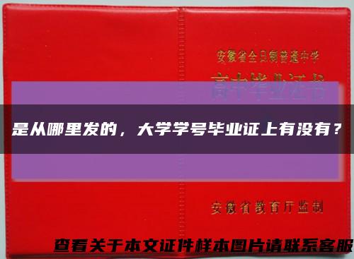 是從哪里發的，大學學號畢業證上有沒有？縮略圖