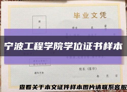 寧波工程學院學位證書樣本縮略圖