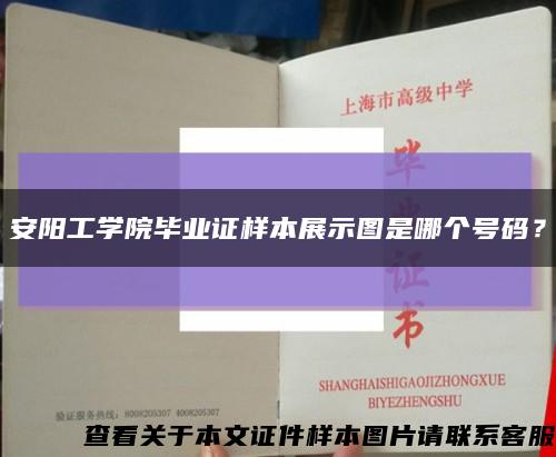 安陽工學院畢業證樣本展示圖是哪個號碼？縮略圖
