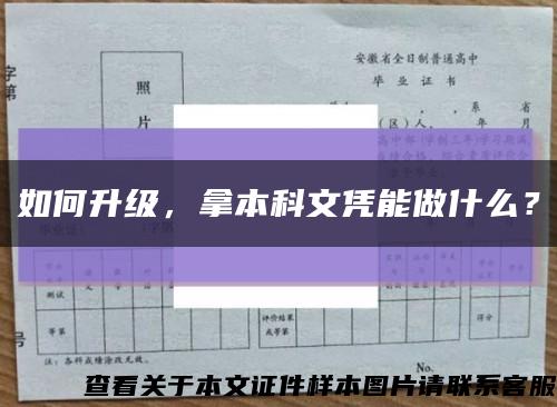 如何升級，拿本科文憑能做什么？縮略圖
