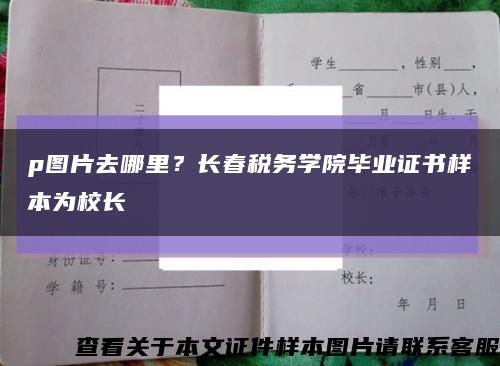 p圖片去哪里？長春稅務學院畢業證書樣本為校長縮略圖