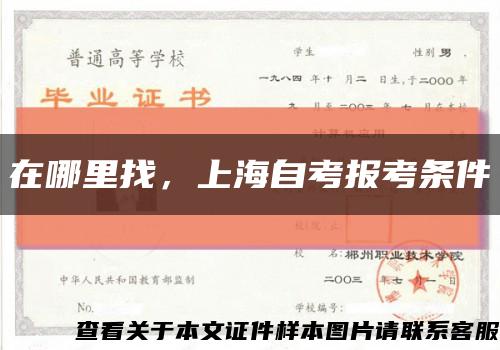 在哪里找，上海自考報考條件縮略圖