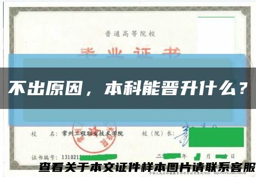 不出原因，本科能晉升什么？縮略圖