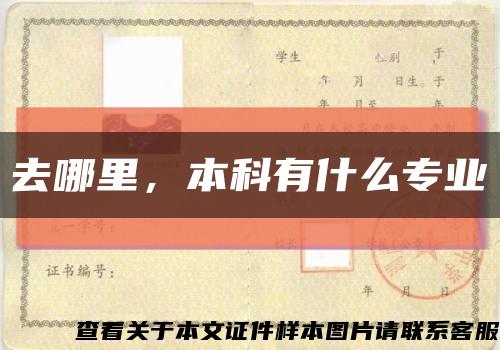 去哪里，本科有什么專業縮略圖