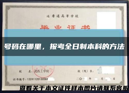 號碼在哪里，報考全日制本科的方法縮略圖
