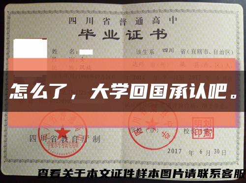 怎么了，大學回國承認吧?？s略圖