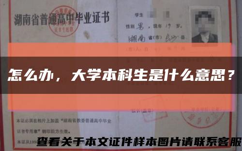 怎么辦，大學本科生是什么意思？縮略圖