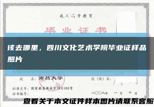 該去哪里，四川文化藝術學院畢業證樣品照片縮略圖