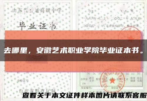 去哪里，安徽藝術職業學院畢業證本書?？s略圖