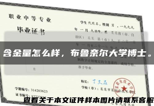 含金量怎么樣，布魯奈爾大學博士?？s略圖