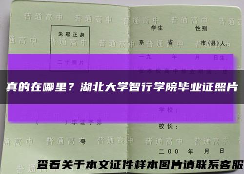 真的在哪里？湖北大學智行學院畢業證照片縮略圖