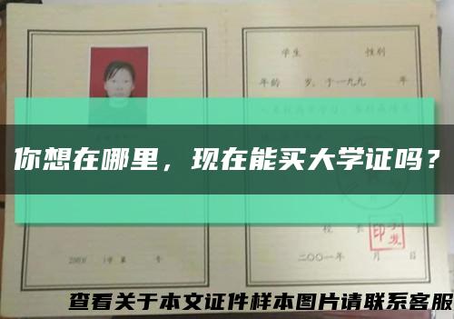 你想在哪里，現在能買大學證嗎？縮略圖