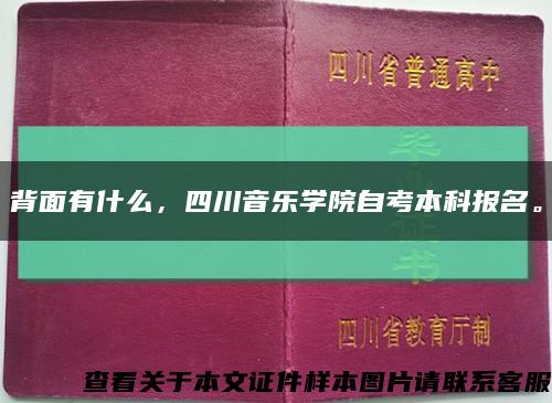背面有什么，四川音樂學院自考本科報名?？s略圖