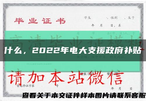 什么，2022年電大支援政府補貼縮略圖