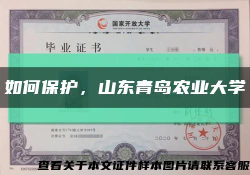 如何保護，山東青島農業大學縮略圖