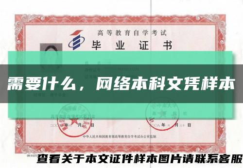 需要什么，網絡本科文憑樣本縮略圖