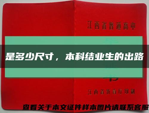 是多少尺寸，本科結業生的出路縮略圖