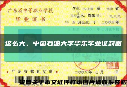 這么大，中國石油大學華東畢業證封面縮略圖