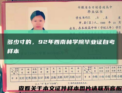 多少寸的，92年西南林學院畢業證自考樣本縮略圖
