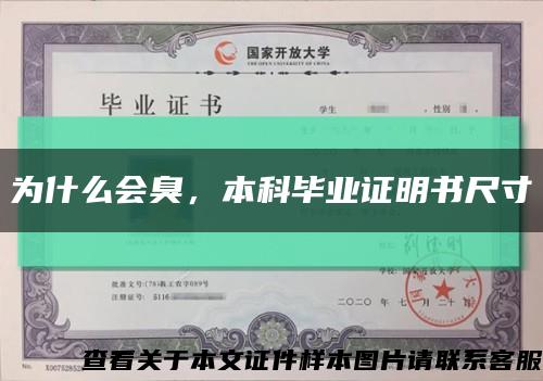 為什么會臭，本科畢業證明書尺寸縮略圖