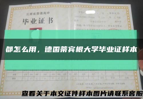 都怎么用，德國蒂賓根大學畢業證樣本縮略圖