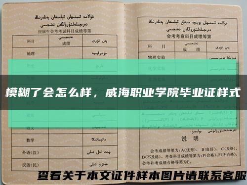 模糊了會怎么樣，威海職業學院畢業證樣式縮略圖