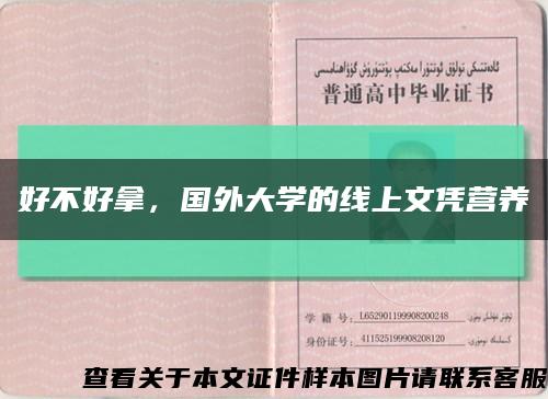 好不好拿，國外大學的線上文憑營養縮略圖