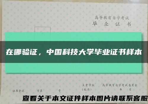 在哪驗證，中國科技大學畢業證書樣本縮略圖