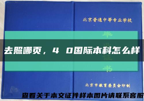 去照哪頁，4 0國際本科怎么樣縮略圖